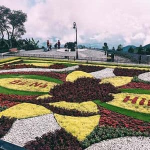 Du lịch Sơn La đi Đà Nẵng Bà Nà ngắm Vườn hoa Tình yêu khoe sắc